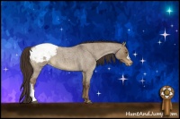Horse Color:Liver Red Dun Roan Snowcap 