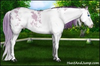 Horse Color:Watercolor Liver Red Dun Sabino Splash Rabicano 