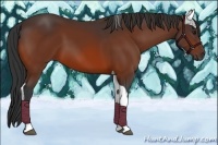 Horse Color:Bay Tobiano Rabicano 