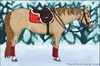 Horse Color:Red Dun 