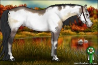 Horse Color:Brown Onyx Frame 