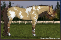 Horse Color:White Spotted Liver Red Dun Rabicano 