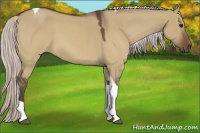 Horse Color:Silver Brown Roan Dun Tobiano 