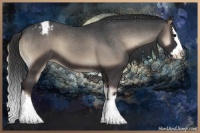 Horse Color:Blue Onyx Sabino Splash Varnish 