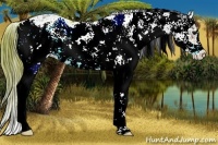 Horse Color:Buckskin Sabino