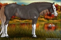 Horse Color:Liver Chestnut Sabino Splash Rabicano 