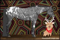 Horse Color:White Spotted Black Ice Appaloosa Rabicano 