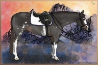 Horse Color:White Spotted Liver Chestnut