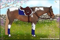 Horse Color:Liver Chestnut Tobiano 