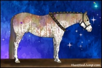 Horse Color:Nacre Bay and Nacre White Spotted Bay