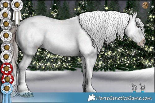 Horse Color:Brown Roan Appaloosa 