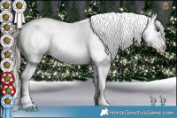 Horse Color:Brown Roan Appaloosa