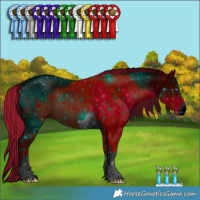 Horse Color:ERROR: UNKNOWN ANOMALY