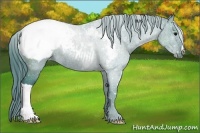 Horse Color:Watercolor Black Appaloosa Rabicano 