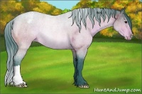 Horse Color:Watercolor Brown Varnish Rabicano 