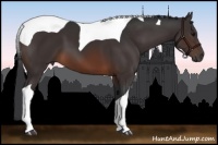 Horse Color:Brown Tobiano 