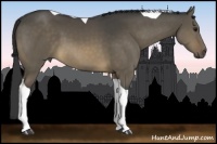 Horse Color:Buckskin Dun Tobiano