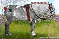 Horse Color:White Spotted Silver Black Chinchilla Sabino Appaloosa 