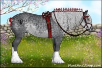 Horse Color:Silver Black Chinchilla Sabino