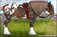 Horse Color:White Spotted Liver Chestnut Blanket Rabicano 