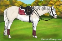 Horse Color:Cremello Splash 