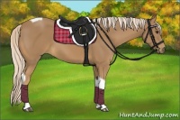 Horse Color:Palomino Tobiano 