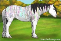 Horse Color:Grullo Ice Sabino Splash