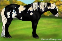 Horse Color:White Spotted Chestnut Splash Tobiano Appaloosa 