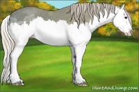 Horse Color:Silver Grullo Ice Sabino Splash 