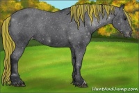 Horse Color:Painted Black Varnish Rabicano 