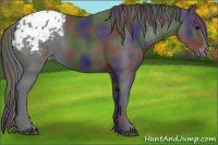 Horse Color:Nacre Black Varnish Rabicano 