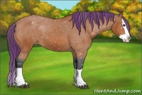 Horse Color:Painted Bay Splash Varnish 