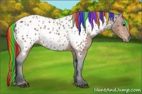 Horse Color:Painted Bay Appaloosa