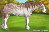 Horse Color:Chestnut Ice Splash Varnish