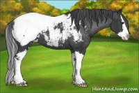 Horse Color:Black Sabino Splash Near Fewspot 