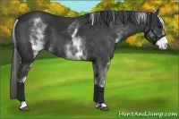 Horse Color:White Spotted Black Frame