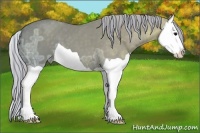 Horse Color:Painted Silver Black Ice Splash Appaloosa