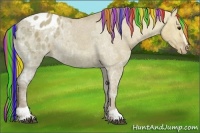 Horse Color:Painted Red Dun Ice Sabino Appaloosa 