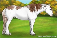 Horse Color:White Spotted Chestnut Ice Splash Varnish 