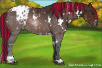 Horse Color:Gray Painted White Spotted Bay Appaloosa