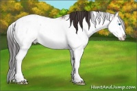 Horse Color:Bay Ice Sabino Splash Blanket