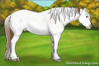 Horse Color:White Spotted Red Dun Ice Splash Varnish 
