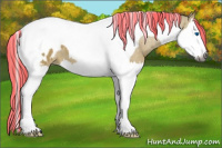 Horse Color:Gray Painted Silver Bay Dun Splash Tobiano Blanket 