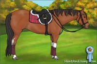 Horse Color:Bay Tobiano 