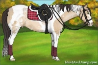 Horse Color:White Spotted Amber Champagne Dun Tobiano 