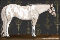 Horse Color:White Spotted Chocolate Palomino Pearl Blanket 