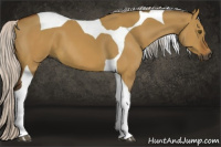 Horse Color:Gray Silver Buckskin Dun Tobiano 