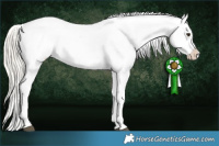 Horse Color:Chestnut Ice Mushroom Appaloosa 