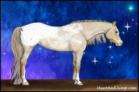Horse Color:Chocolate Palomino Roan Dun Sabino Appaloosa Brindle 