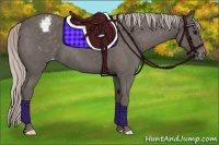 Horse Color:Silver Blue Roan Varnish 